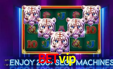 Exclusive Offers betvip